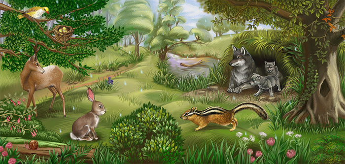 лесные приметы