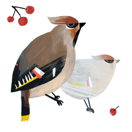 Свиристели