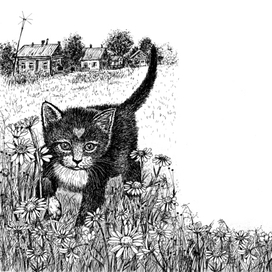 Разворот  к книге "Долгая дорога домой" издательства Феникс-Премьер