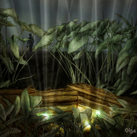 Сибирские сказки ("Заповедный колодец") 