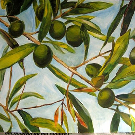 Оливковый сад