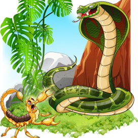 Бой насмерть