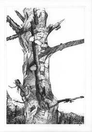 Графика, тушь, перо, бумага.