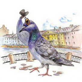 Питерский голубь