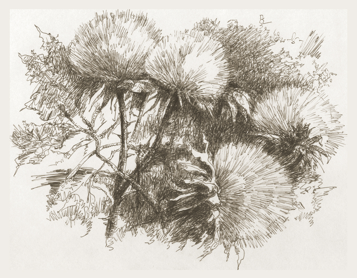 СУХОЙ СОРНЯК