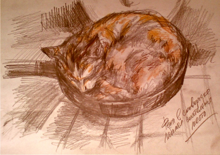 Дура - Феня. Любимое спательное место - сковородка...)