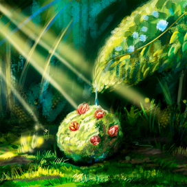 солнечный сает