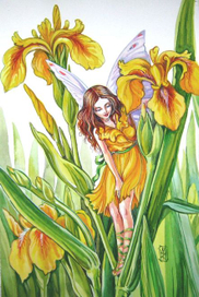 фея ирис