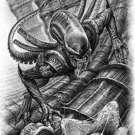 Принт на футболку