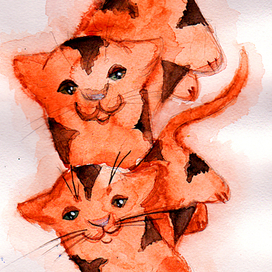 котоблизнецы