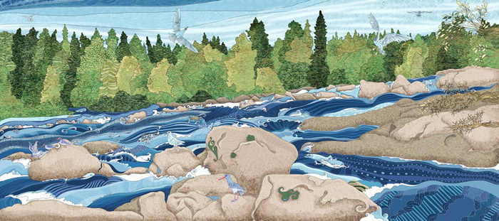 Водопад Паанаярви