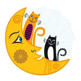 Месяц и коты