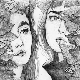 the secret of the forest