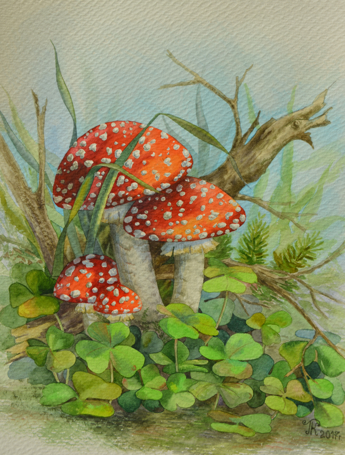 Мухоморчики 