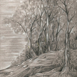 На опушке леса