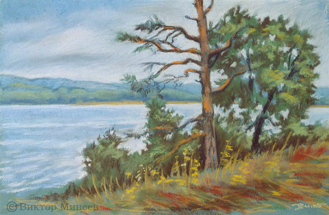 Деревья на берегу Волги