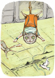 Коты парашютисты