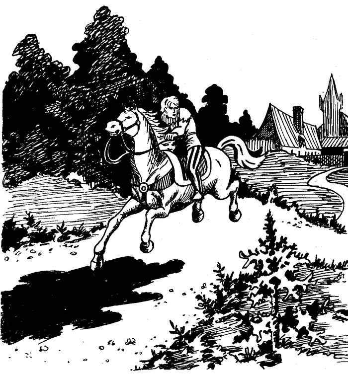 иллюстрация к книге "Удивительные приключения Билла Грэлли