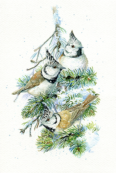 Гренадерки