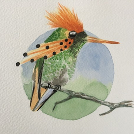 райская птичка 