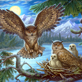 Совы. Арт для пазла.