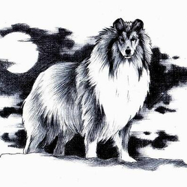 Молниеносный. 5-0