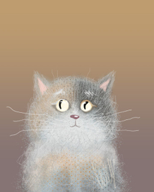 Котики
