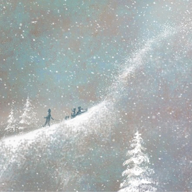 Для книги Ирины Лейк «Снег»