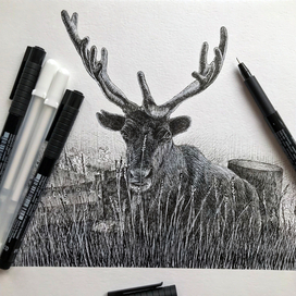 Графика в жанре анимализм