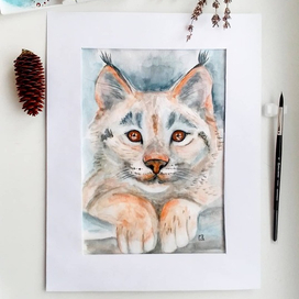 Рысь. Портрет