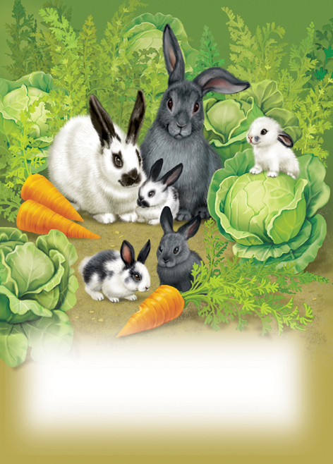 Кролики это не только ценный мех...