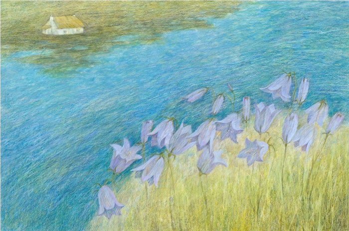 Сказки про тюленей