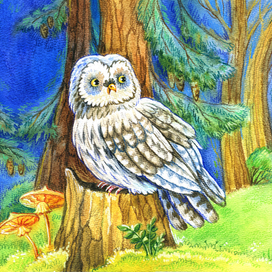 Разворот для книжки-картонки