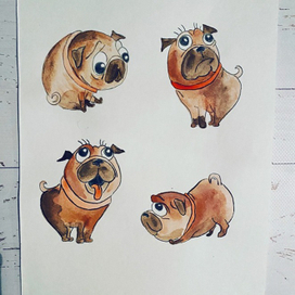 Рисунки 