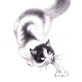 кот карандашом