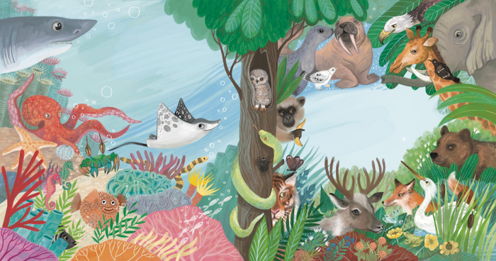 Кто где живёт. Издательство Робинс