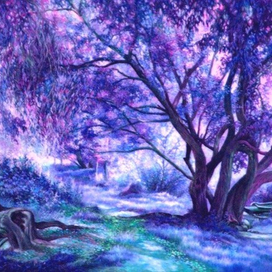 Прогулка в тенях летнего вечера