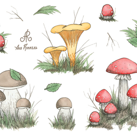 Набор наклеек "Грибы"