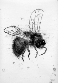 подруга лета 