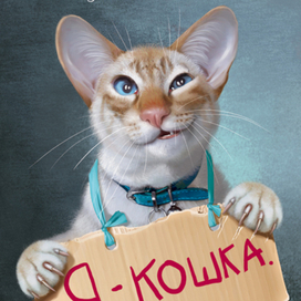 Обложечка))))