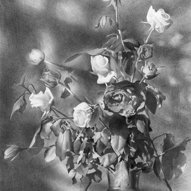 Натюрморт с розами