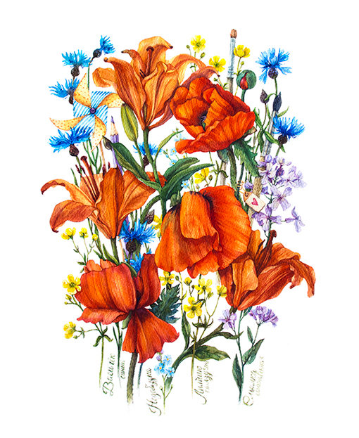 Полевые цветы