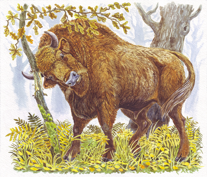 А гэты хлопец і без "Зуброўкі" п'яны - каханне, аднак!