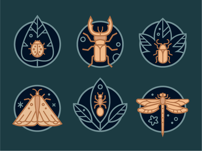 Векторные иконки с насекомыми