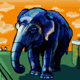 "What's on the roof?"