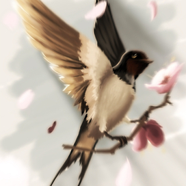 Для обложки