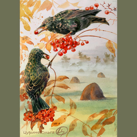 Скворушки готовятся к отлету