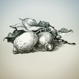 иллюстрация для kateberrybookmarks