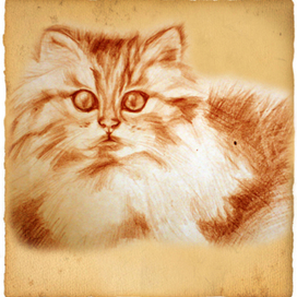 рисунок карандаш