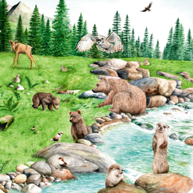 Пазл Лес/Арктика